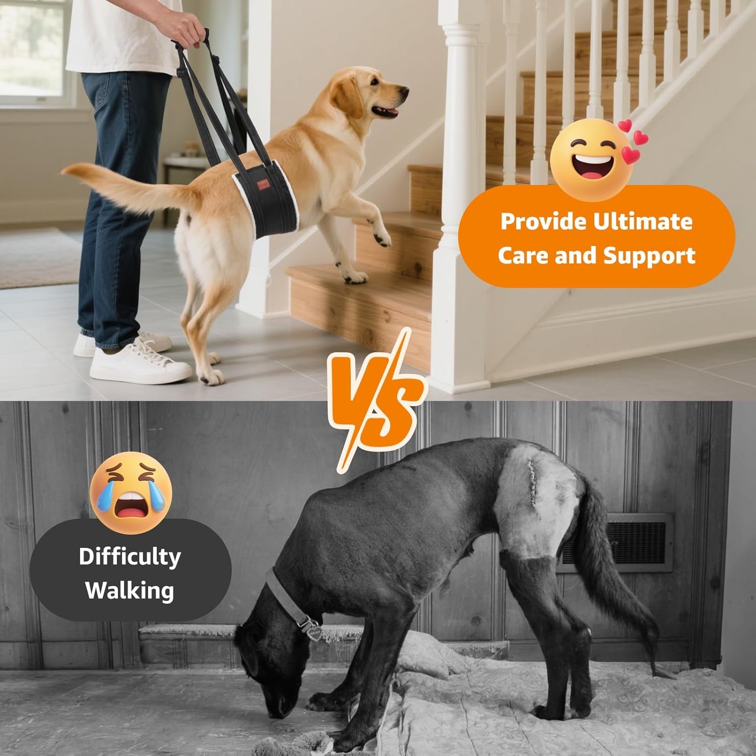 image:imageLOOBANI Portable Dog Sling for Back Legs Hip Support Harness to Help Lift Dogs Rear for Canine Aid and Old K9 Cruciate Ligament RehabilitationBlack