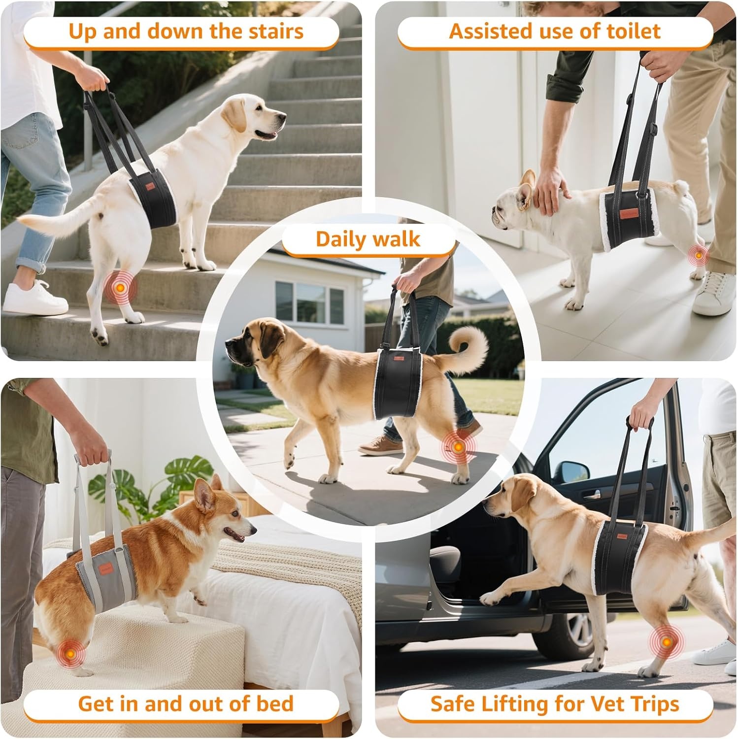 image:imageLOOBANI Portable Dog Sling for Back Legs Hip Support Harness to Help Lift Dogs Rear for Canine Aid and Old K9 Cruciate Ligament RehabilitationBlack
