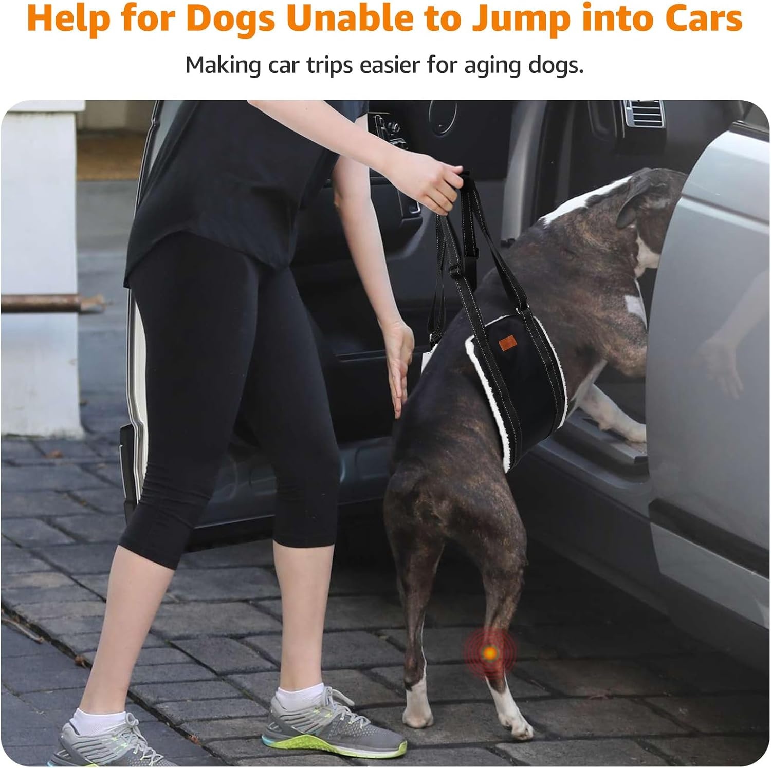 image:imageLOOBANI Portable Dog Sling for Back Legs Hip Support Harness to Help Lift Dogs Rear for Canine Aid and Old K9 Cruciate Ligament RehabilitationBlack