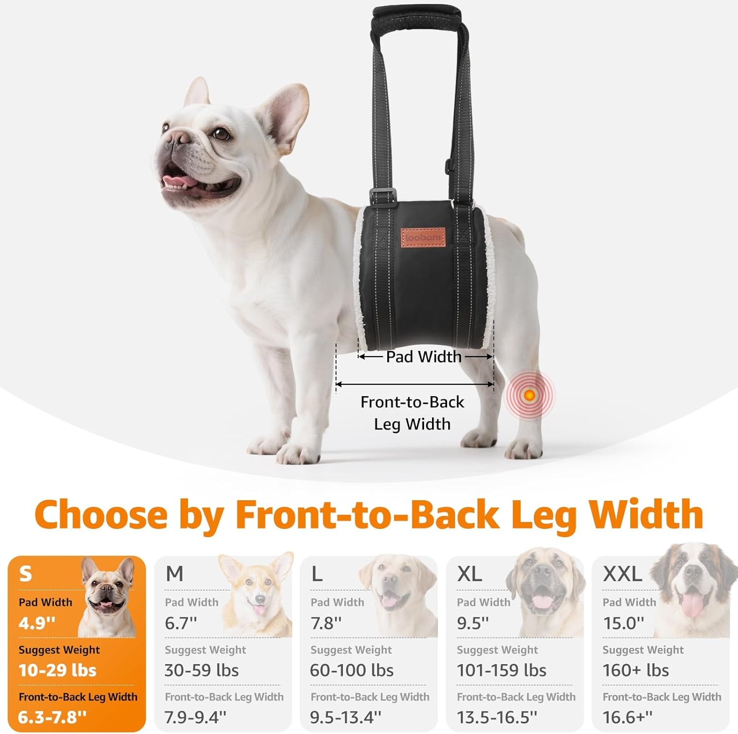 image:imageLOOBANI Portable Dog Sling for Back Legs Hip Support Harness to Help Lift Dogs Rear for Canine Aid and Old K9 Cruciate Ligament RehabilitationBlack