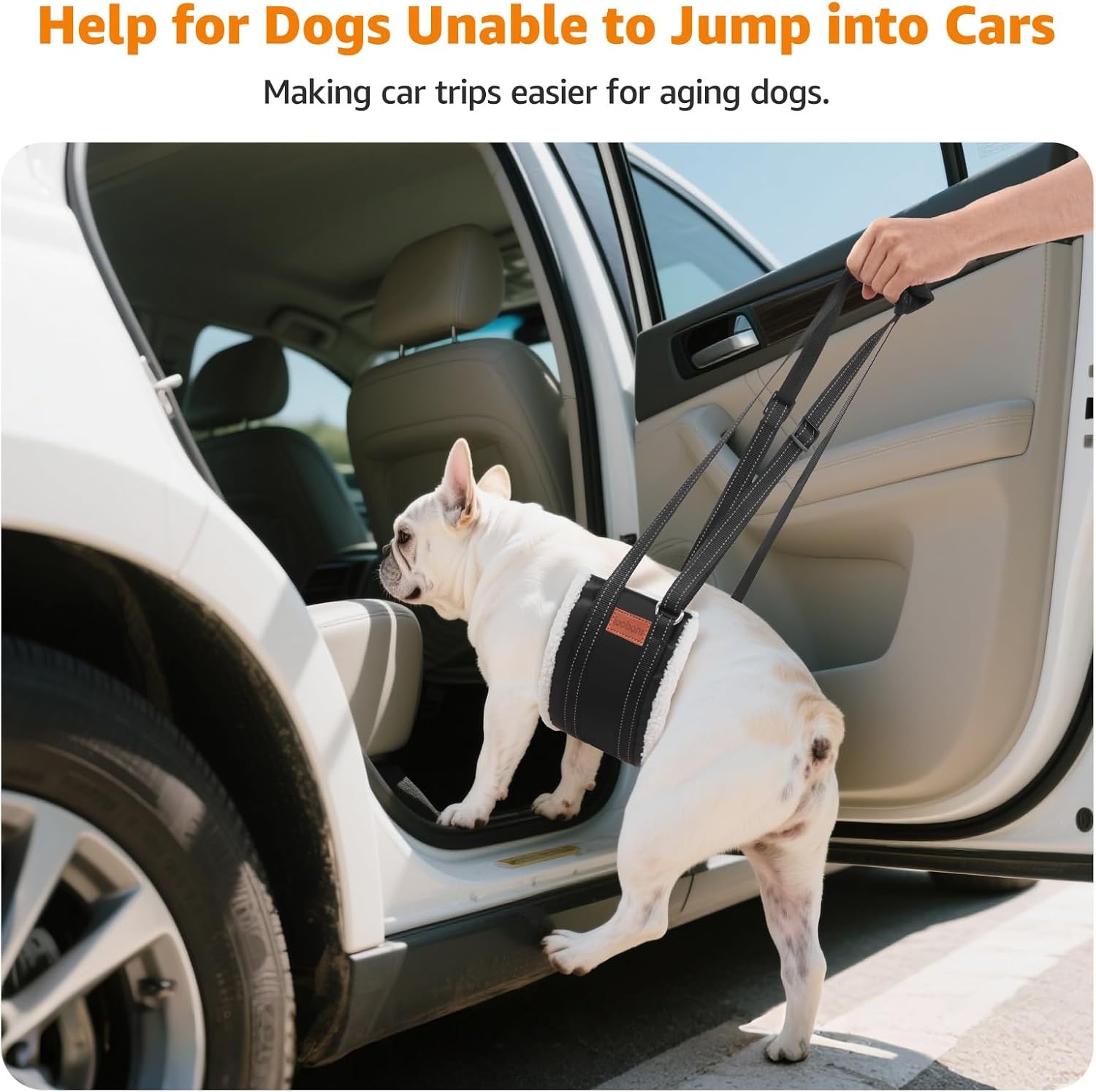 image:imageLOOBANI Portable Dog Sling for Back Legs Hip Support Harness to Help Lift Dogs Rear for Canine Aid and Old K9 Cruciate Ligament RehabilitationBlack