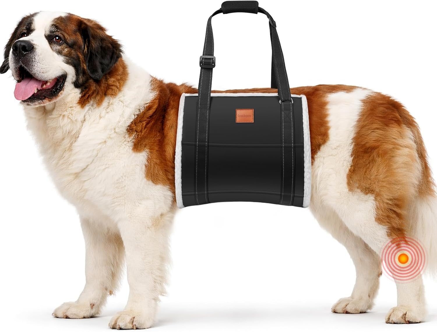 image:imageLOOBANI Portable Dog Sling for Back Legs Hip Support Harness to Help Lift Dogs Rear for Canine Aid and Old K9 Cruciate Ligament RehabilitationBlack