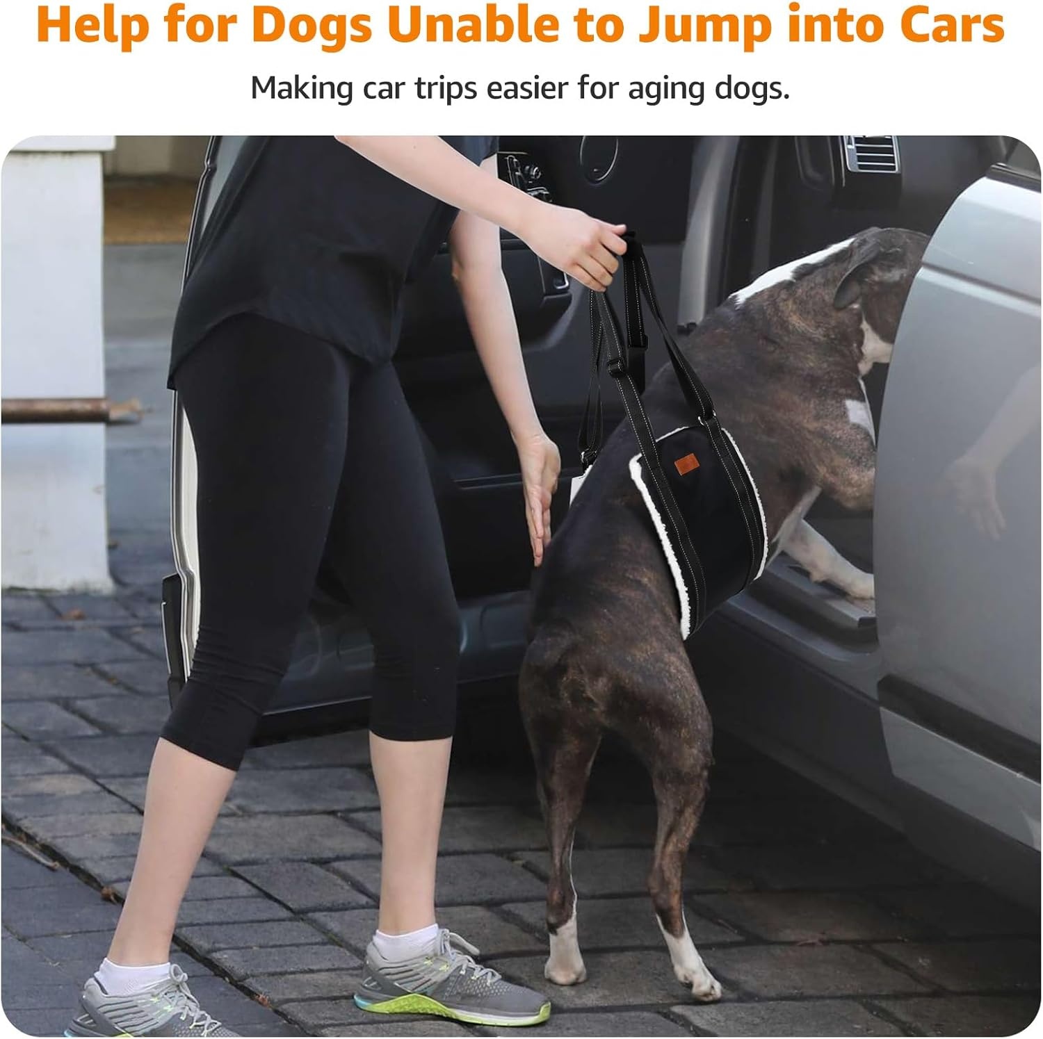 image:imageLOOBANI Portable Dog Sling for Back Legs Hip Support Harness to Help Lift Dogs Rear for Canine Aid and Old K9 Cruciate Ligament RehabilitationBlack