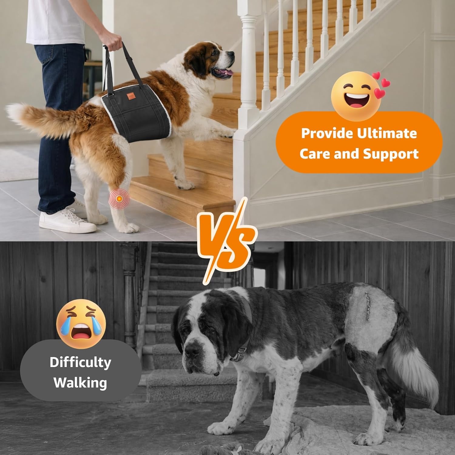 image:imageLOOBANI Portable Dog Sling for Back Legs Hip Support Harness to Help Lift Dogs Rear for Canine Aid and Old K9 Cruciate Ligament RehabilitationBlack