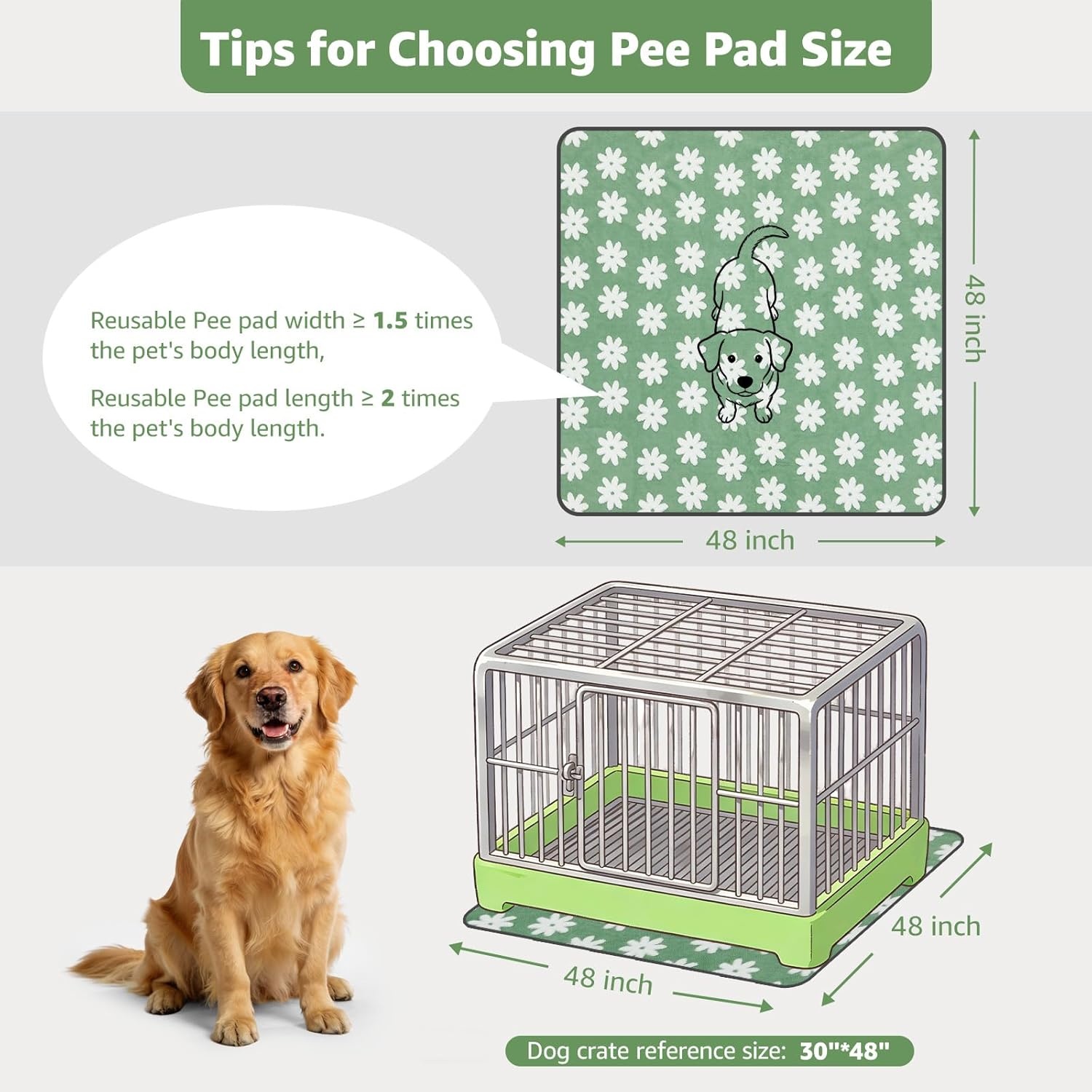 image:imageLOOBANI Washable Pee Pads for Dogs 2 Pack Super Absorbent Reusable Puppy Pads Leakproof and Waterproof Dog Training Pads Whelping Pads for Potty Floor Crate Couch Bed and Travel 18x24Green Daisy