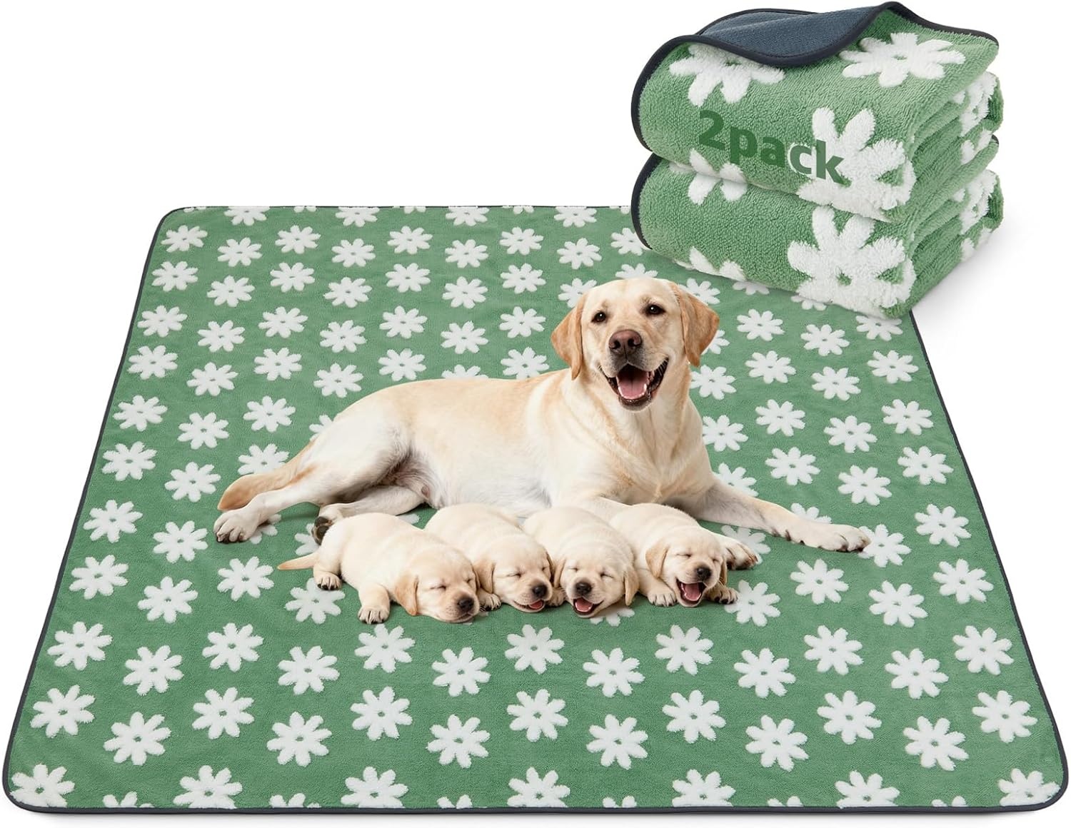 image:imageLOOBANI Washable Pee Pads for Dogs 2 Pack Super Absorbent Reusable Puppy Pads Leakproof and Waterproof Dog Training Pads Whelping Pads for Potty Floor Crate Couch Bed and Travel 18x24Green Daisy