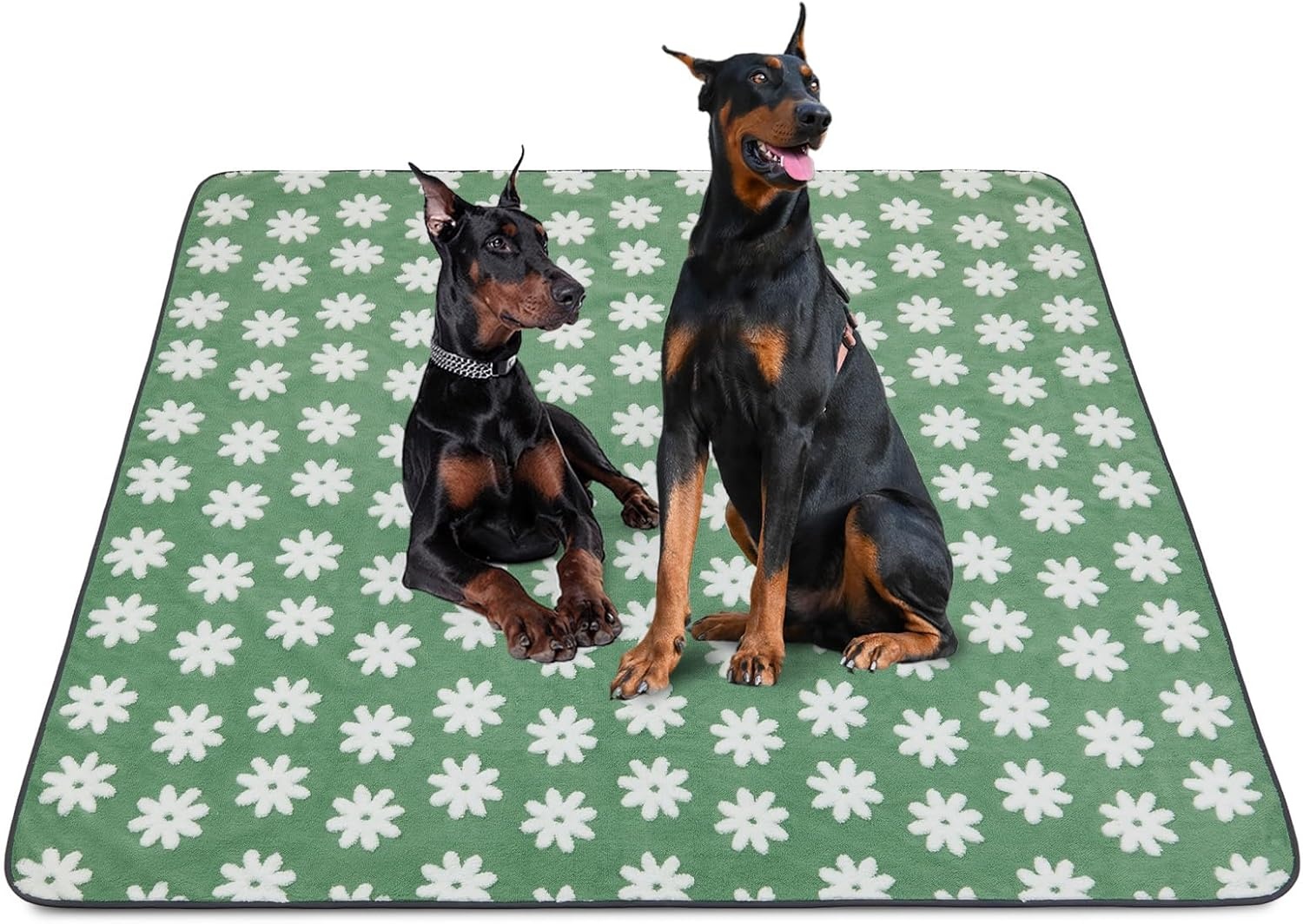image:imageLOOBANI Washable Pee Pads for Dogs 2 Pack Super Absorbent Reusable Puppy Pads Leakproof and Waterproof Dog Training Pads Whelping Pads for Potty Floor Crate Couch Bed and Travel 18x24Green Daisy