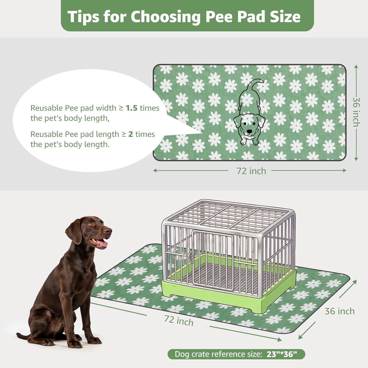 image:imageLOOBANI Washable Pee Pads for Dogs 2 Pack Super Absorbent Reusable Puppy Pads Leakproof and Waterproof Dog Training Pads Whelping Pads for Potty Floor Crate Couch Bed and Travel 18x24Green Daisy
