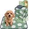 Green Daisy