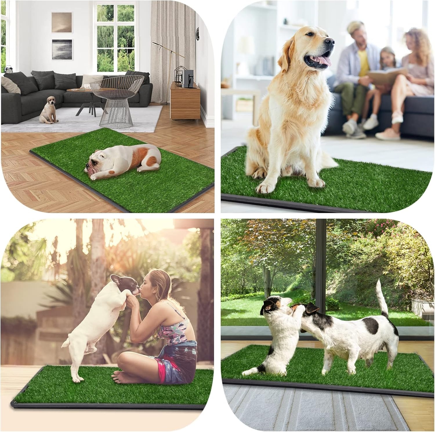 image:imageLOOBANI Dog Grass Pad with Tray Large Dog Litter Box Indoor Potty for Apartment and Patio Training with 2 Pack Grass Pee Pads for ReplacementTray Potty 45 29inchTray Potty 47629inch