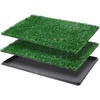 Tray Potty 35*23inch