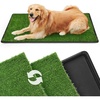 Tray Potty 45*29inch