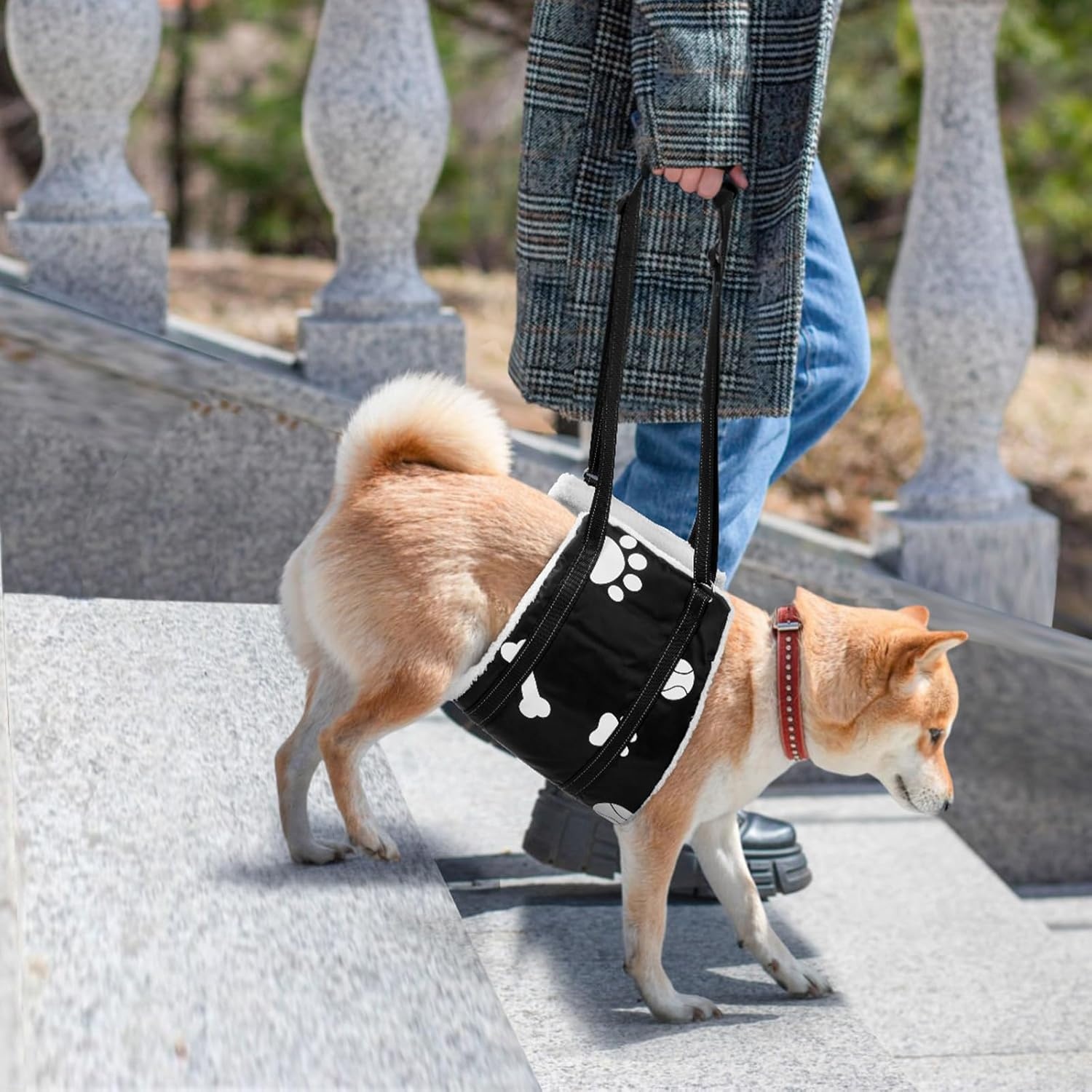 image:imageLOOBANI Dog Lift Harness for Back Legs Portable Dog Sling for Large Dogs Hind Leg Support Comfortable Leg Support Assistance for Elderly Dogs with Hip ACL Brace Senior Injured Medium Black