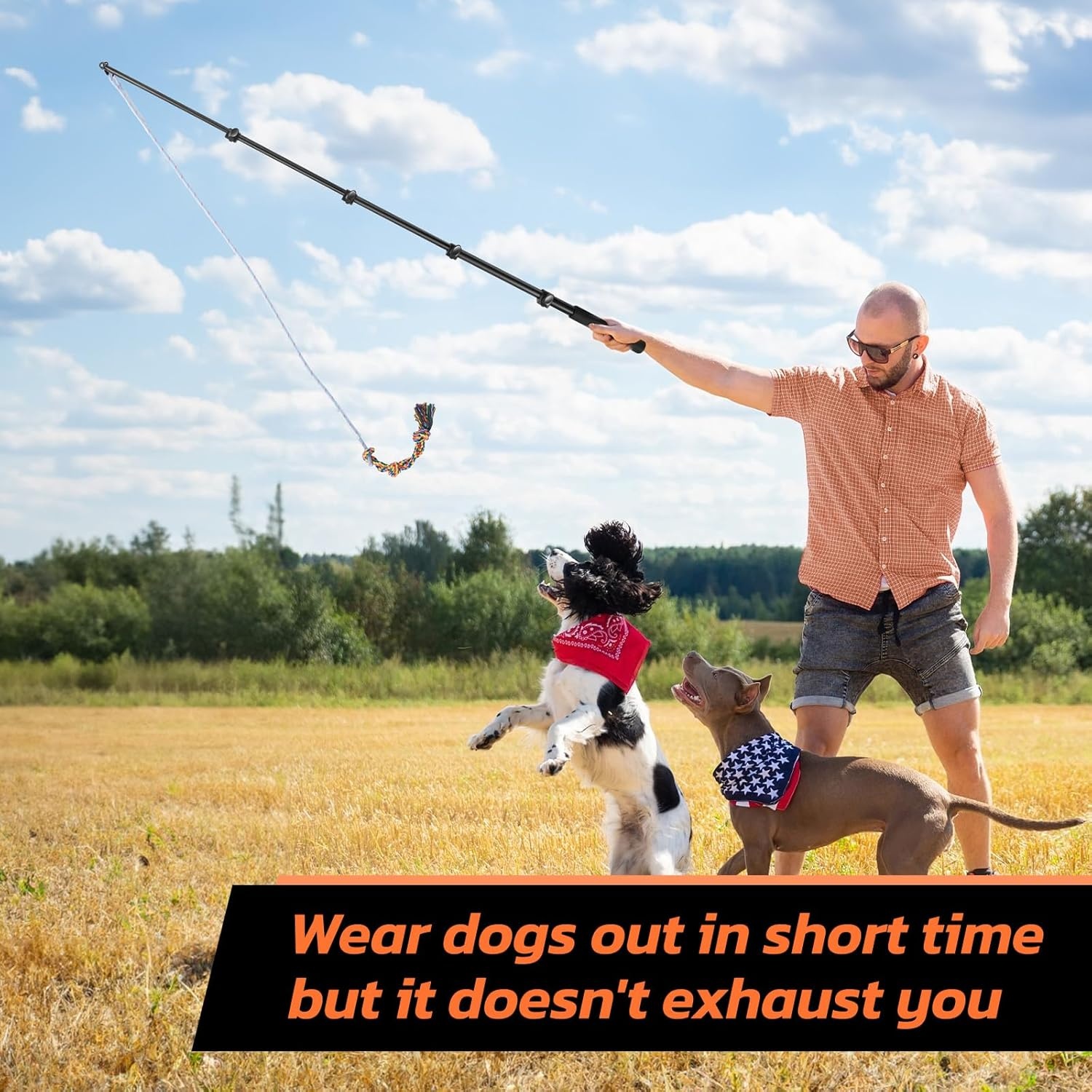 image:imageLOOBANI Flirt Pole for Dogs Chase amp Tug of War Extendable Teaser Wand with Detachable Toys 591in