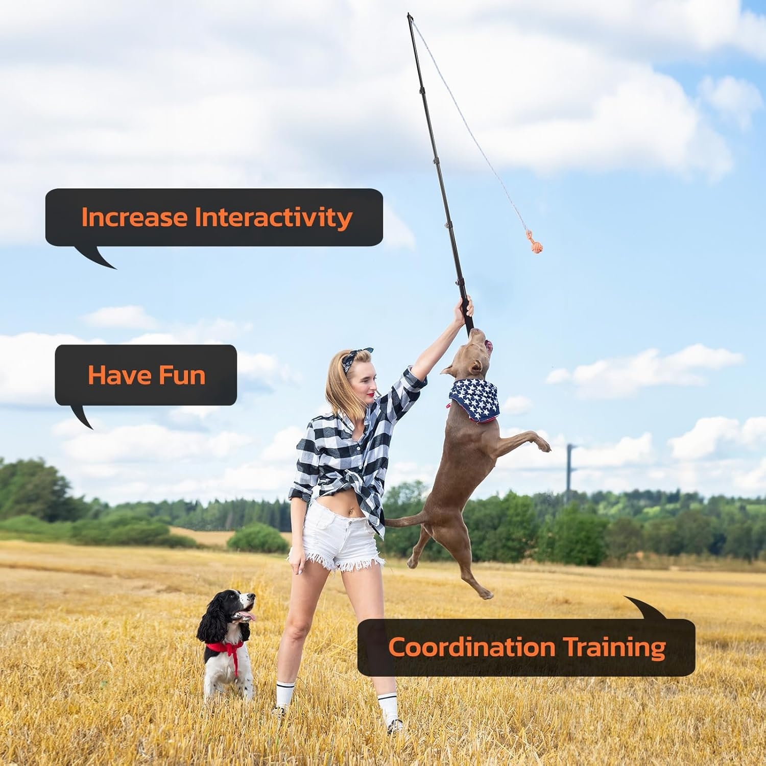 image:imageLOOBANI Flirt Pole for Dogs Chase amp Tug of War Extendable Teaser Wand with Detachable Toys 591in