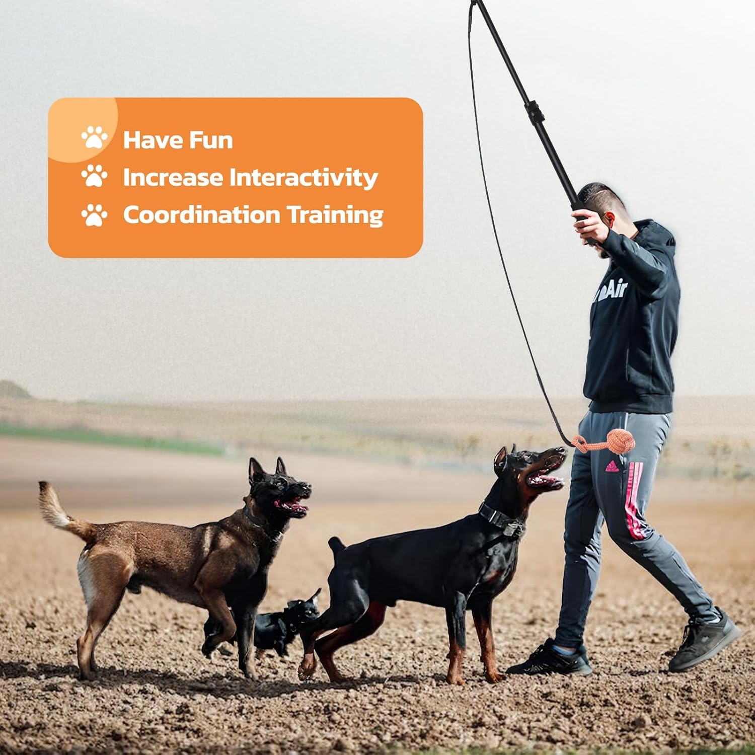 image:imageLOOBANI Flirt Pole for Dogs Chase amp Tug of War Interactive Toys amp Extendable Teaser Wand for Small Dogs Training amp Exercise