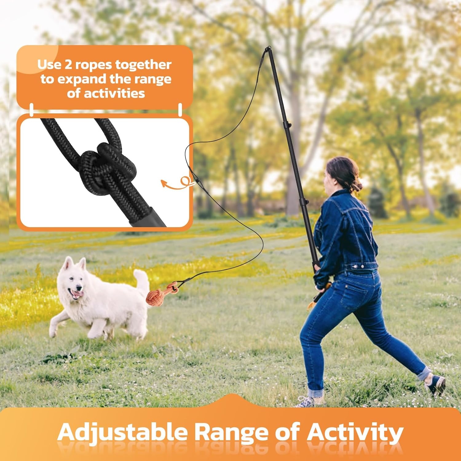 image:imageLOOBANI Flirt Pole for Dogs Chase amp Tug of War Interactive Toys amp Extendable Teaser Wand for Small Dogs Training amp Exercise
