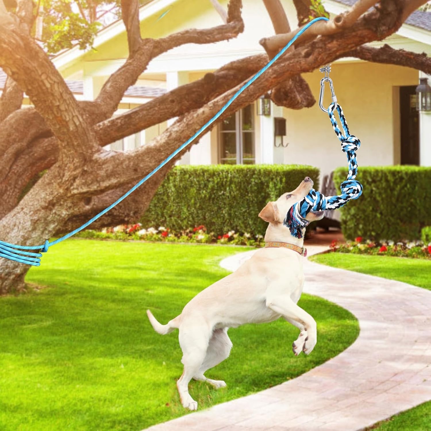 image:imageLOOBANI Outdoor Bungee Tug Toy Dog Toy Hanging from Tree for Small to Large Dogs Interactive Exercise Play Cord amp Tether with Chew Rope Toy Tree Stump Tug of WarBlackBlueWhite