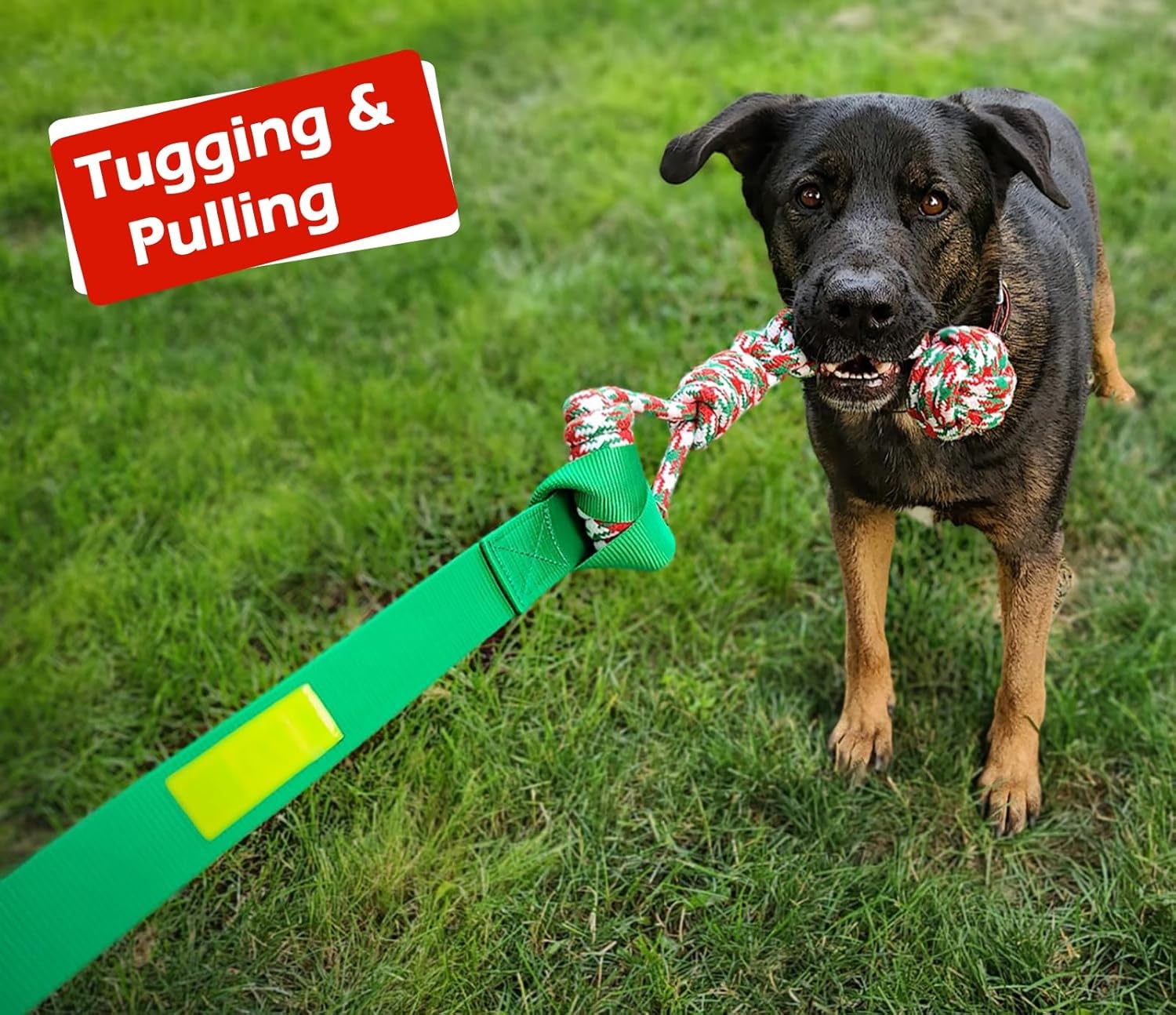 image:imageLOOBANI Outdoor Bungee Tug Toy Dog Toy Hanging from Tree for Small to Large Dogs Interactive Exercise Play Cord amp Tether with Chew Rope Toy Tree Stump Tug of WarBlackRedGreen