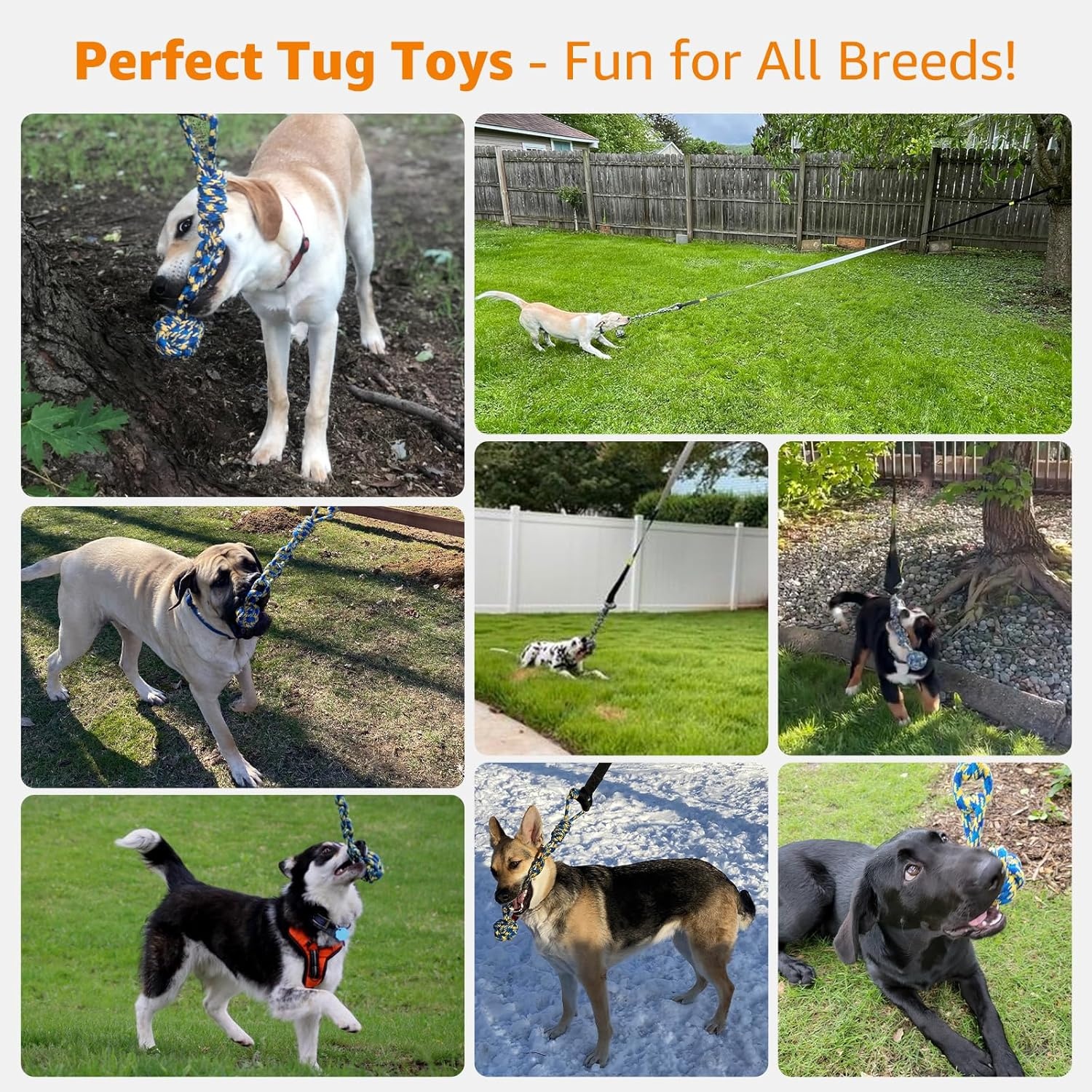 image:imageLOOBANI Outdoor Bungee Tug Toy Dog Toy Hanging from Tree for Small to Large Dogs Interactive Exercise Play Cord amp Tether with Chew Rope Toy Tree Stump Tug of WarBlackRedGreen