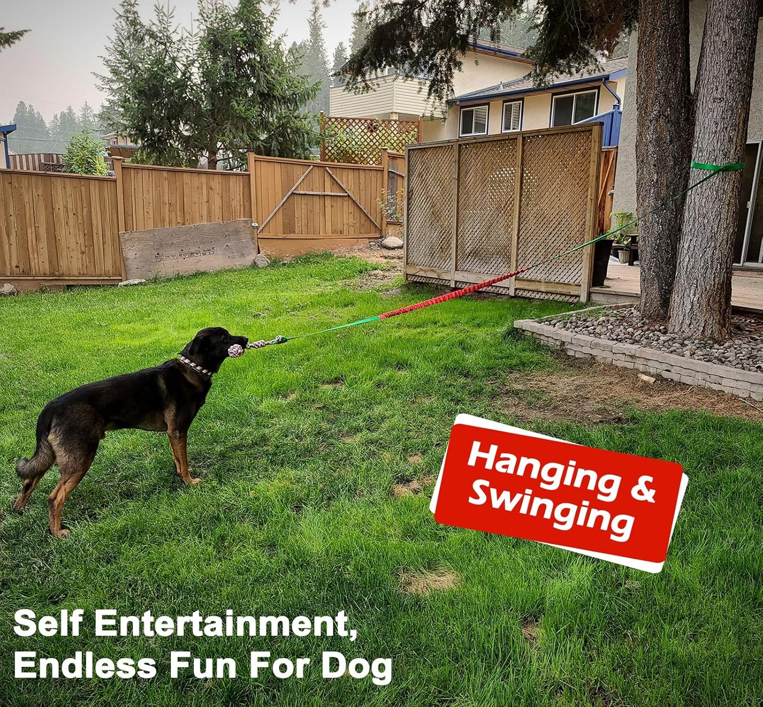 image:imageLOOBANI Outdoor Bungee Tug Toy Dog Toy Hanging from Tree for Small to Large Dogs Interactive Exercise Play Cord amp Tether with Chew Rope Toy Tree Stump Tug of WarBlackRedGreen